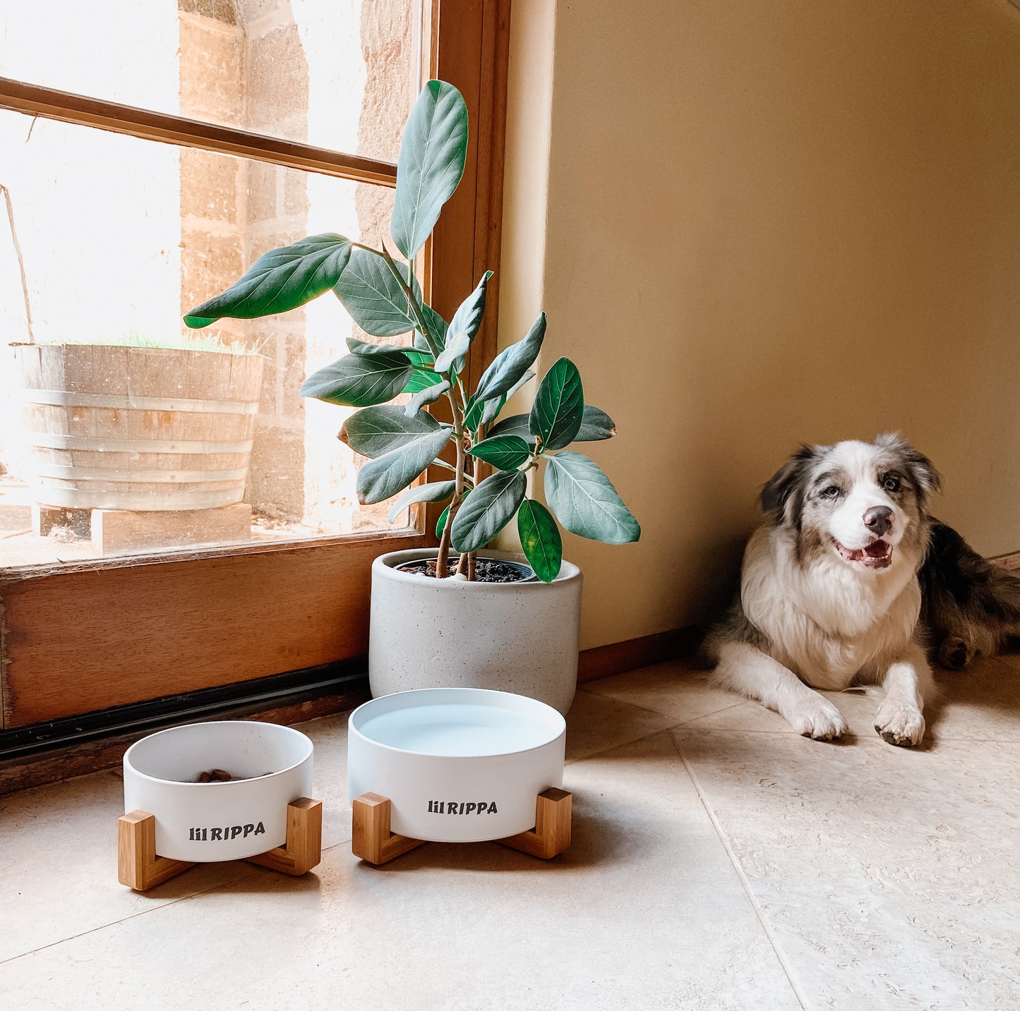 Large Ceramic Bowl With Stand